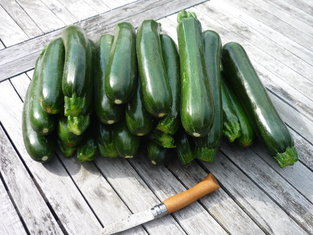P1050675