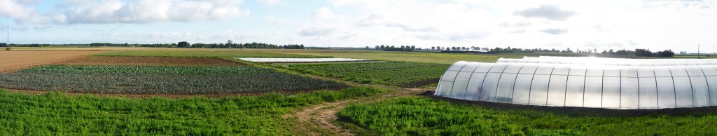 Panorama du 31 août 2014